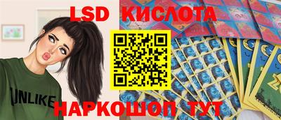 СК Обь