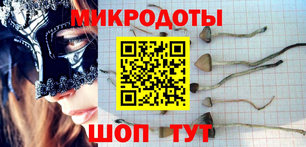 Псилоцибиновые грибы Psilocybine cubensis Улан-Удэ